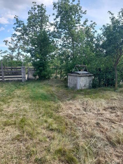 Vand casa ?i gradina mare. - 9