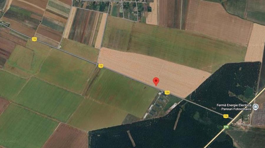 Teren extravilan Varvoru de Jos, jud Dolj - 6