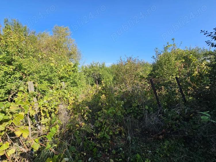 Casa cu teren Conduratu la 4 km de Mizil - 3