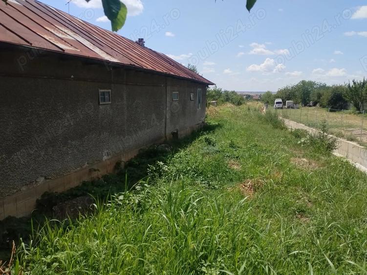 Casa batraneasca +4400 mp - 3