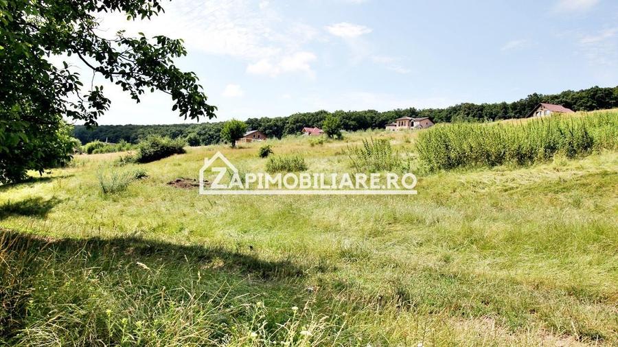 Teren 9.600 mp.17 euro mp deschidere la drum 200 m. - 2