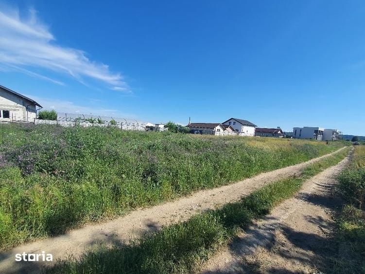 Teren de vanzare in Catargiu - 5