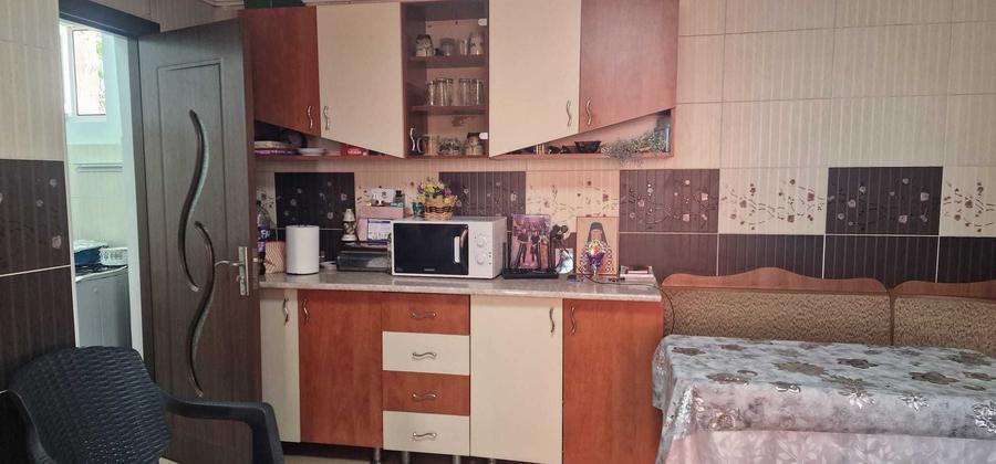 Proprietate cu 2 case in Agarbiciu - 13