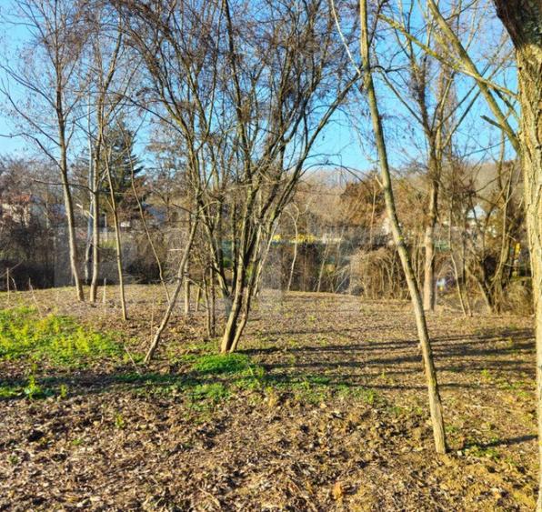 Teren intravilan 738 mp, zona Viforata, Comision 0 - 15