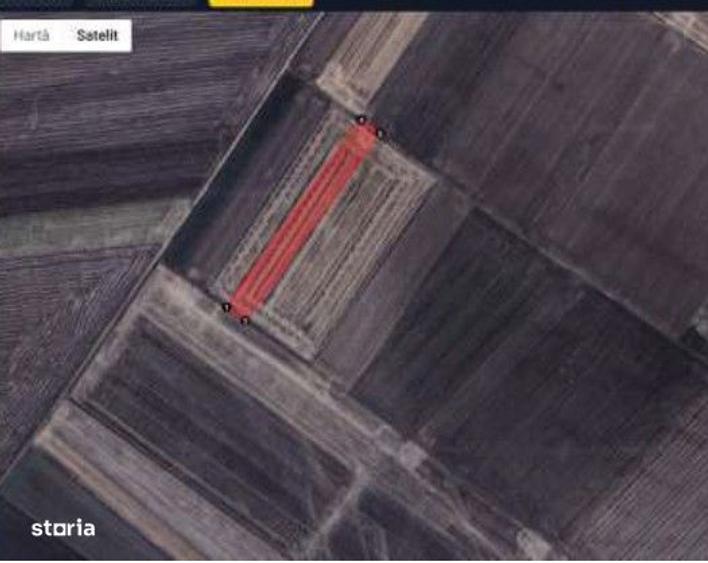 Teren extravilan cota parte 1/5 Murfatlar, ID: R2982571 - 5