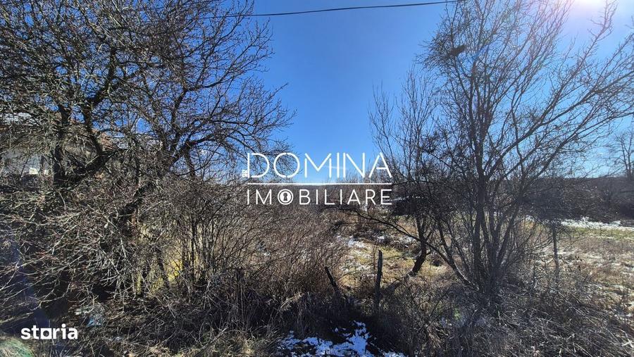 Oportunitate teren 6.504 mp Curtisoara, la 11 km distanta de Tg. J - 3