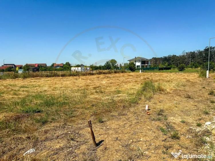 Teren 1116 mp gulia Eden Forest - 1