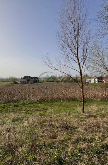 Proprietate de vanzare in judetul Brasov - 8