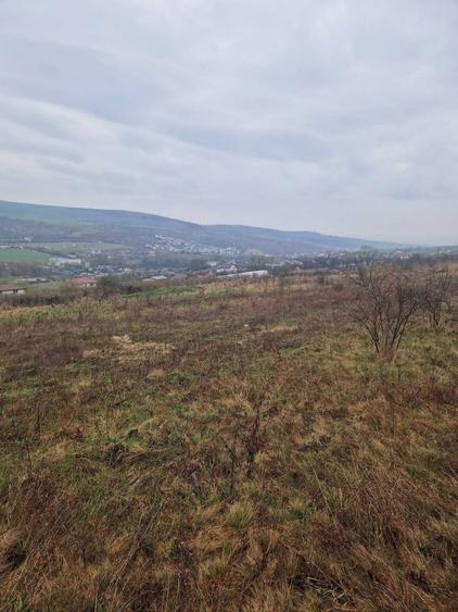 Parcele de teren Valea Chintaului 500 mp (16/31) cu CF individual - 3