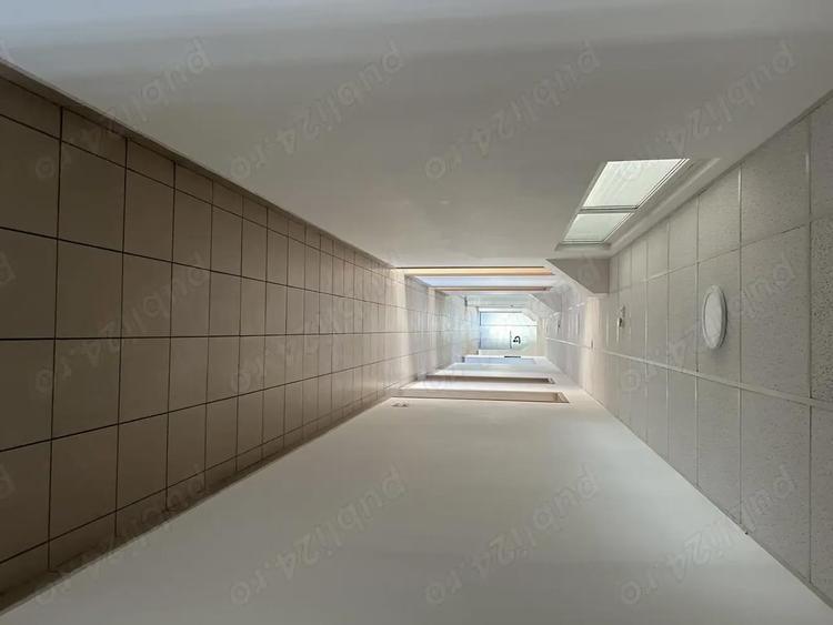 Theodor Pallady stradal birou 410 mp utili LIBER - 9