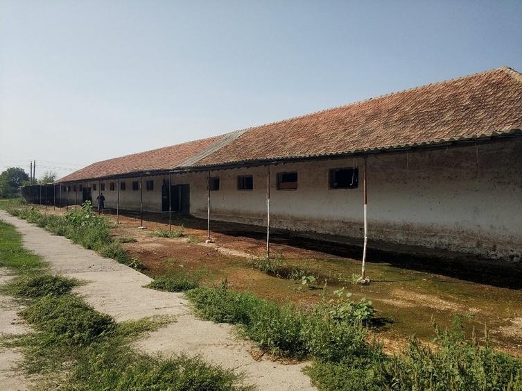 Ferma cu hale 3000 mp si teren 12000 mp, 30 km de Constanta - 3