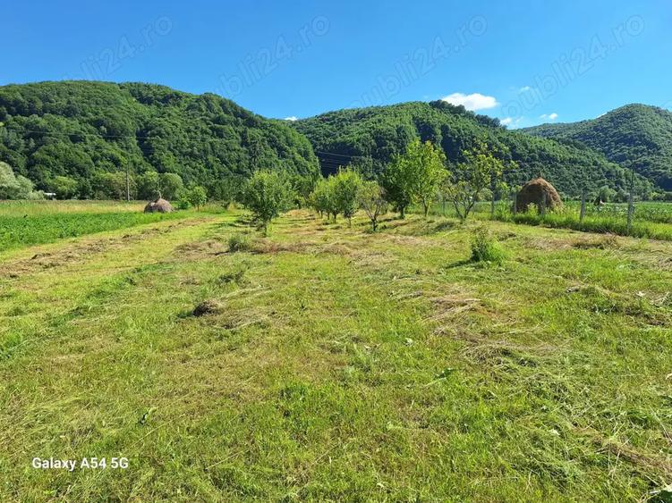 De vanzare casa si gradina 2782 mp in Rebrisoara - 5