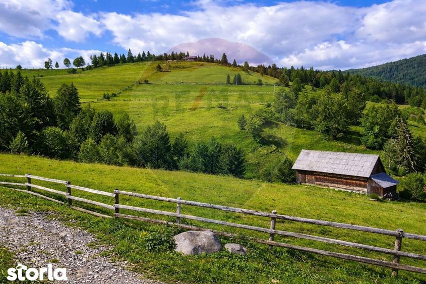 Oaza de lini?te in inima Apusenilor teren 6.500 mp Arie?eni - 1