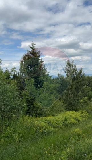 Comision 0%! Teren Sacele / Strada Valea Larga 2000 mp - 6