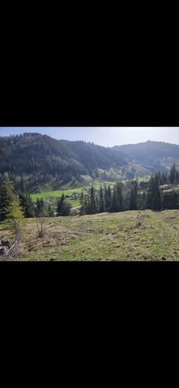 Teren de vanzare partial intravilan in Bucovina Pojorata Transrarau - 8
