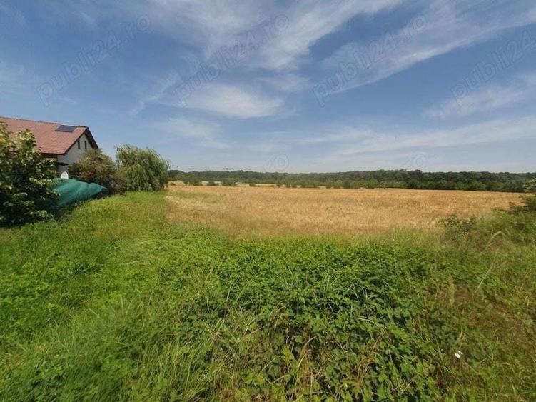 Teren situat in Balotesti,langa padure,acces drum pietruit, 28000 euro - 9