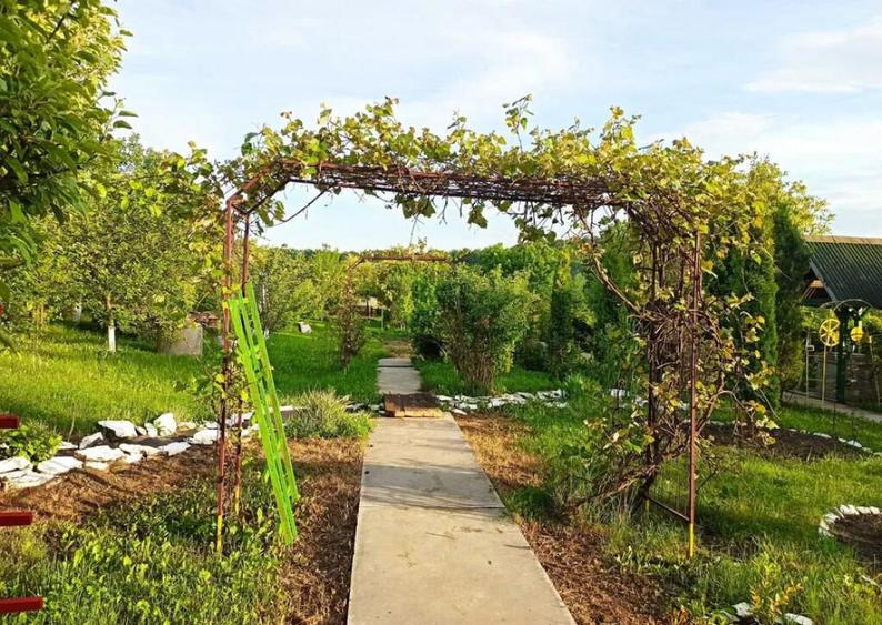 Casa ( P+E ) Zona Mitocasi-Mitocul Dragomirnei - 9