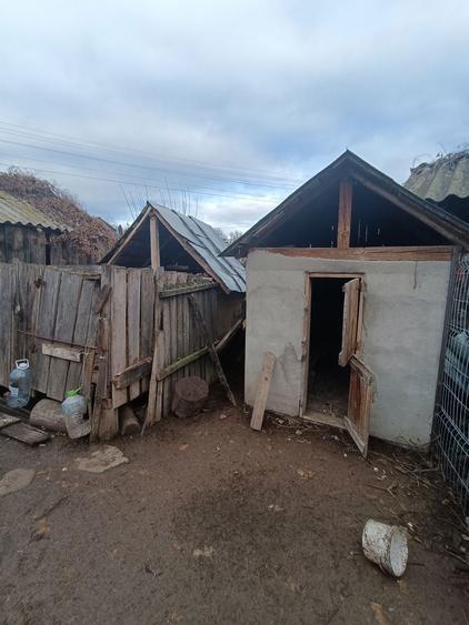 Casa si teren comuna Buda BZ - 7