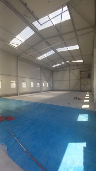 Magurele(Darasti),hala 200 mp,600 mp teren,fara mentenanta - 5