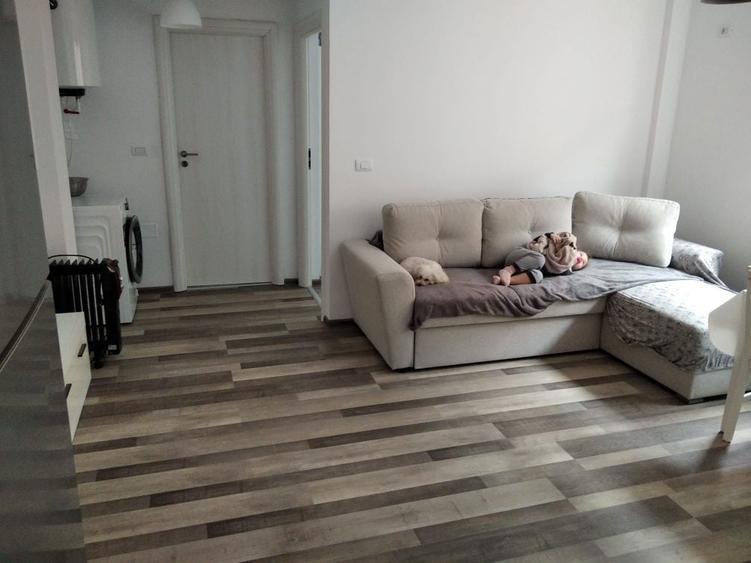 Apartament 2 camere Damila-Capsunarie - 2
