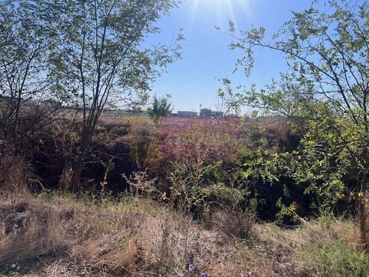 Teren Cornetu Strada Magnoliei- Pinului. - 2