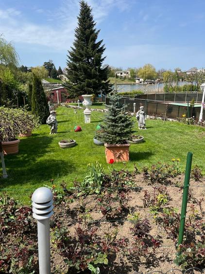 Vanzare vila situata pe malul Lacului Snagov, gradina si piscina, teren 1520 mp, - 4