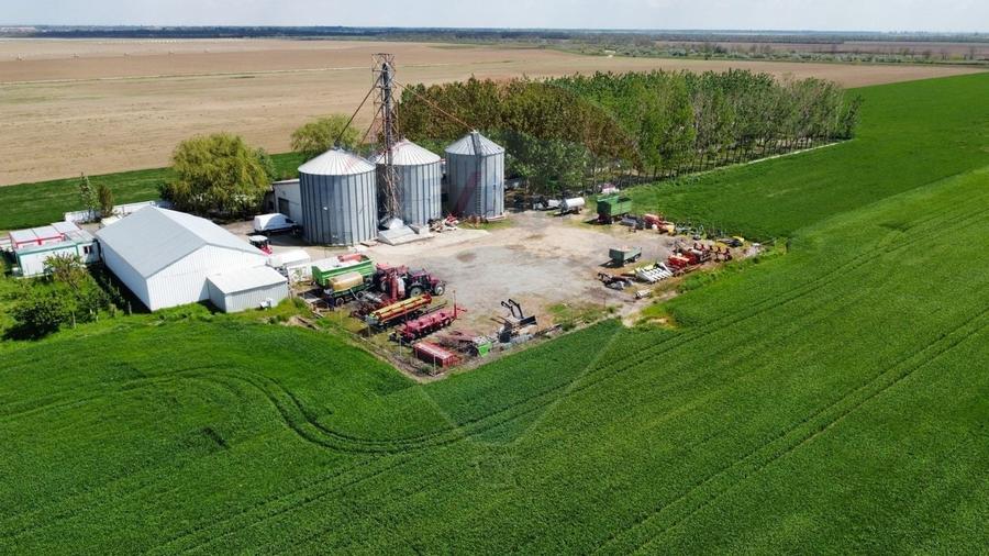 Ferma porcine la cheie - 2