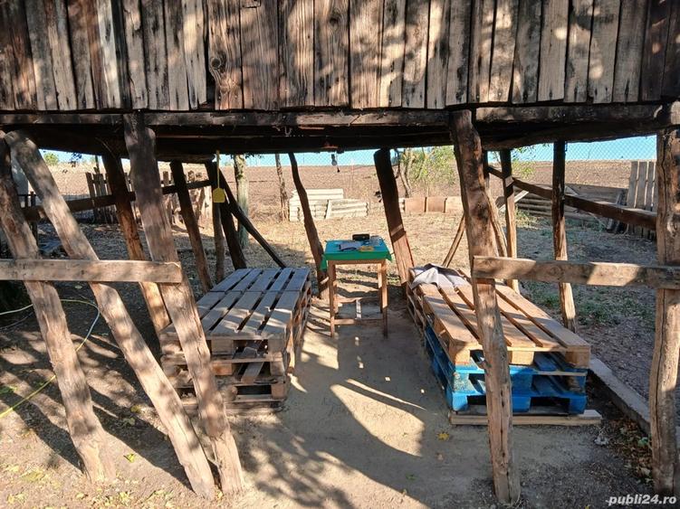 casa la tara sat Silistea com Vitanesti - 4