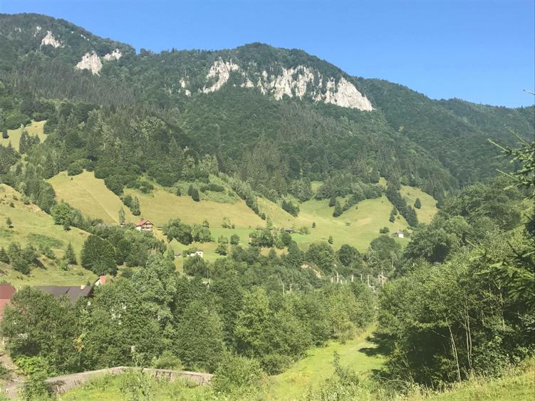 Teren intravilan SATIC DE SUS - 3