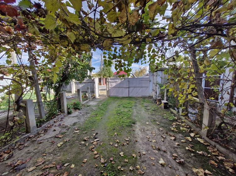 Casa 4 camere + teren 1444 mp ingradit - 6