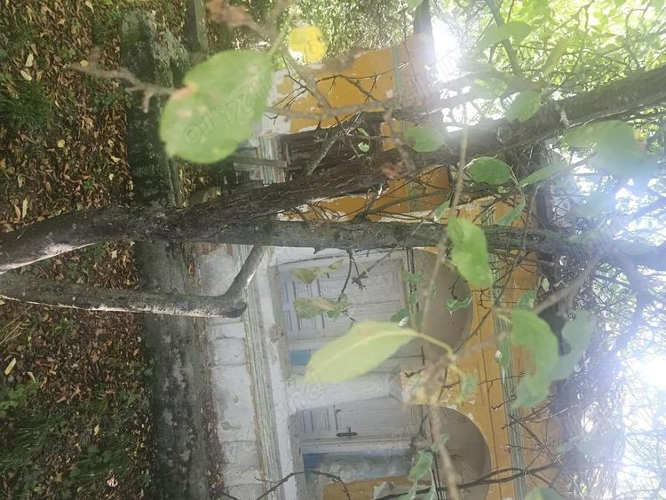 Teren de 1113 mp si casa batraneasca in comuna Mihaesti jude?ul Valcea - 5