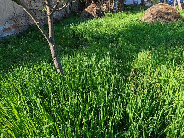 Teren rezidential intre case zona Mihai Eminescu - 2