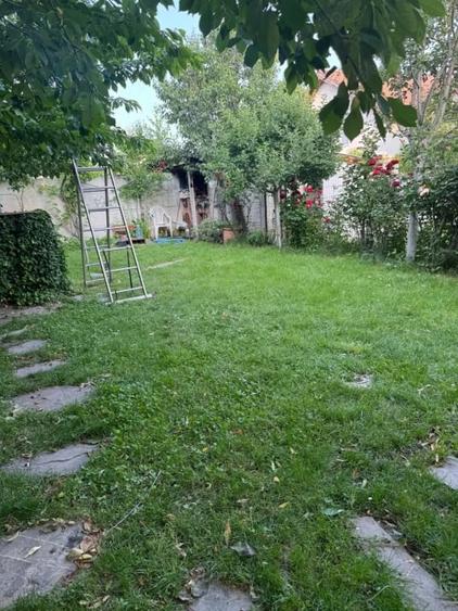 Vila de inchiriat / Voluntari / Porsche Pipera / Mobilat utilat - 9