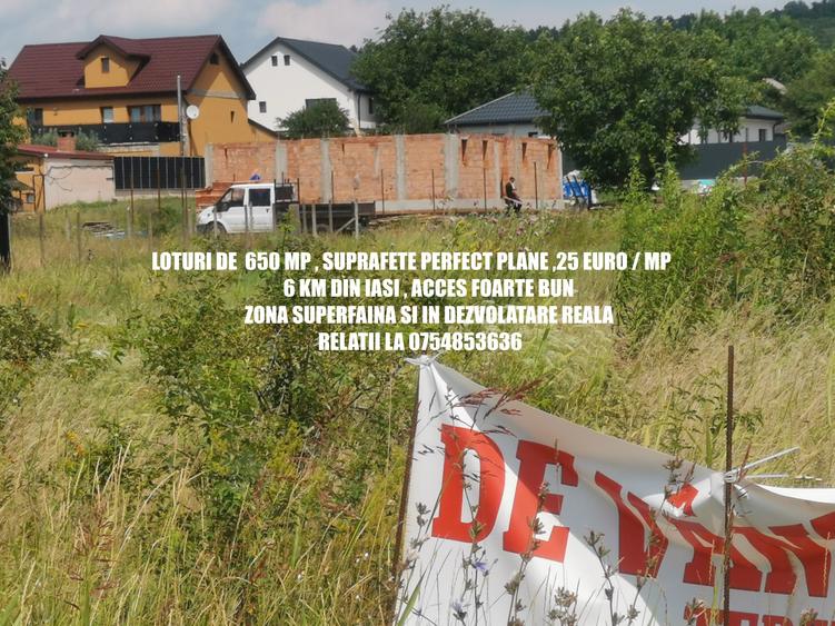 BUCIUM , 6 KM DIN IASI , teren perfect plan , 99.999 % acces pe asfalt - 4