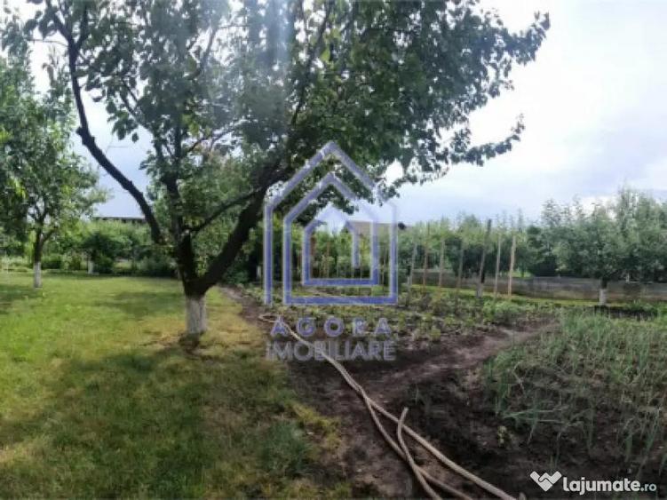 Vila de 200 mp cu anexe 40 mp si teren 1600 mp - 5