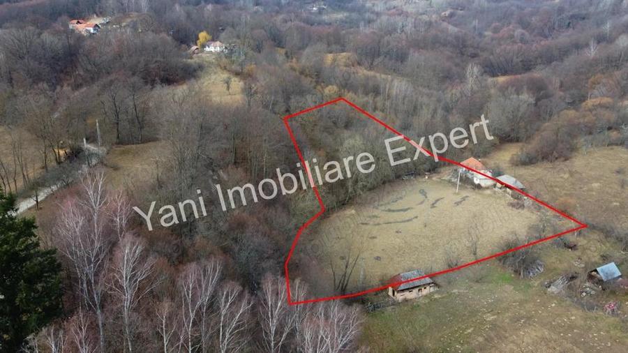 Casa batraneasca + 10.076 mp teren de vanzare in comuna Cepari, Jude? Arge?. - 15