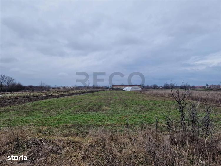 Teren intravilan in Bors cu front mare - 6