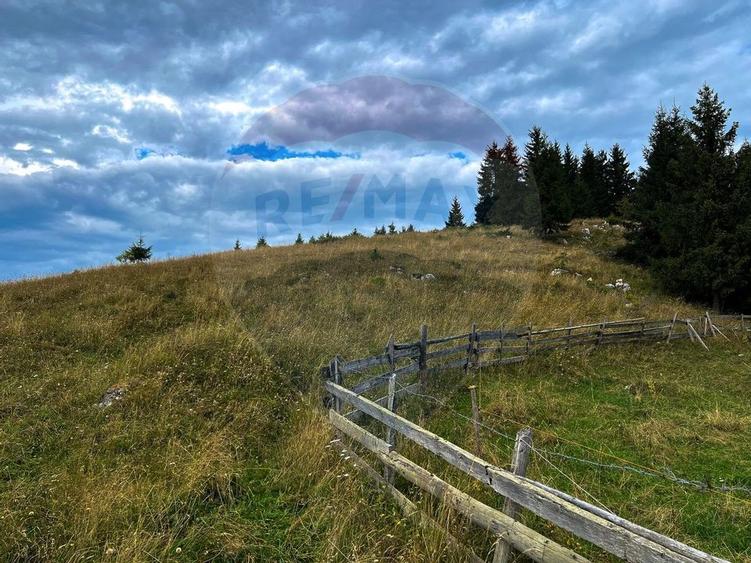 Teren de 7830mp de vanzare in Fundata! Comision 0% - 33