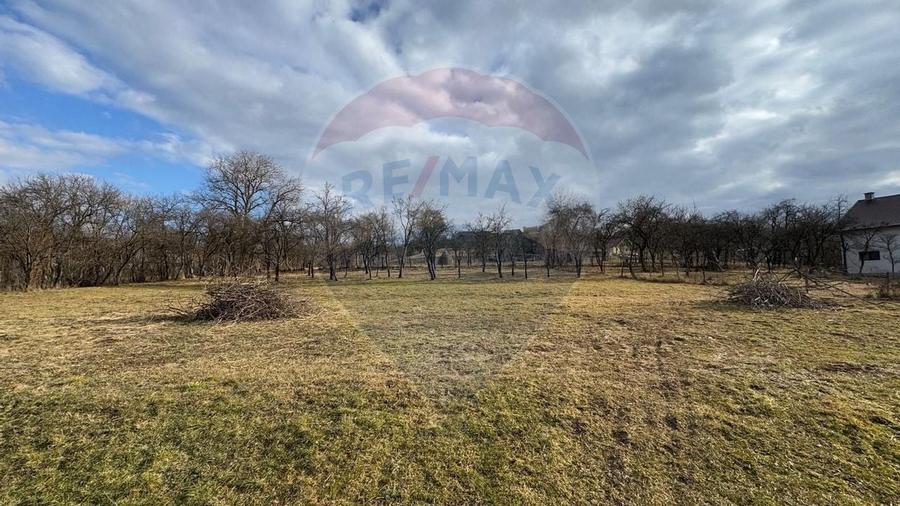 DE VANZARE Casă Traditionala Localitatea Mara, Maramures - 9