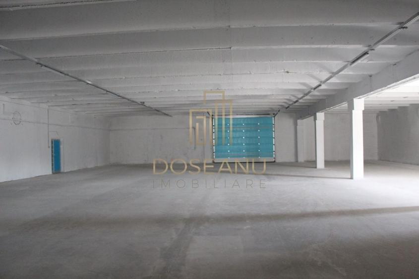 SPATIU INDUSTRIAL - HALA | LES | BIHOR - 2