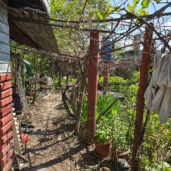 Casă de vânzare în Sector 2, lângă Lacul Plumbuita – 4 camere, teren 310 mp - 7