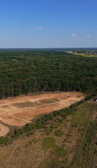 LOT DE VANZARE cu deschidere la padurea Snagov - 5