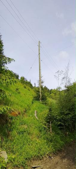 Teren munte situat la poalele muntelui Ceahlau - 4