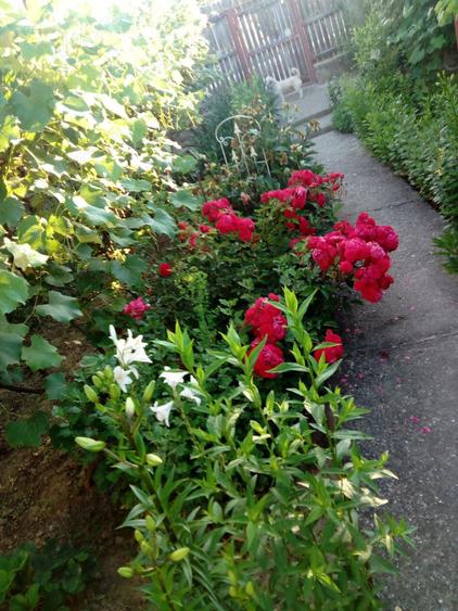 Casa de vanzare in Baiculesti,judetul Arges - 2