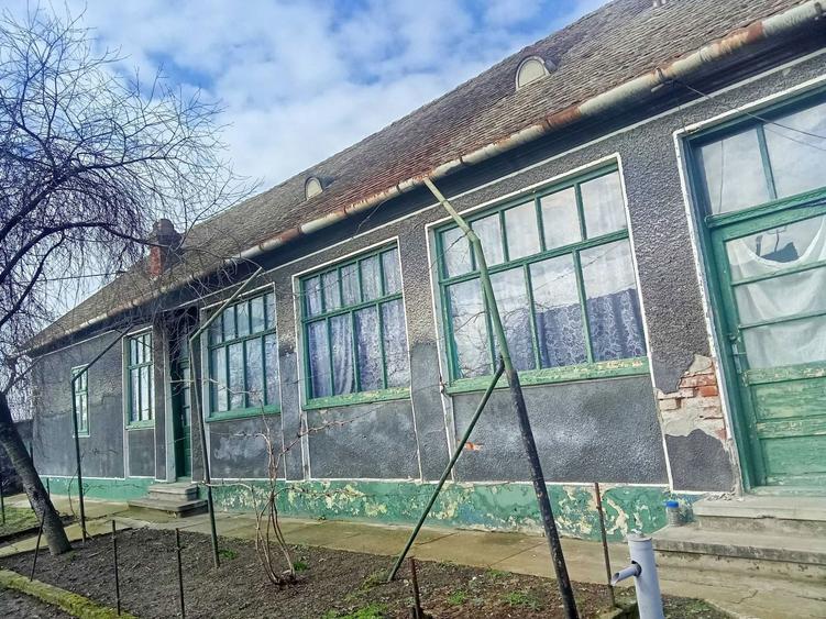 Vand gospodarie traditionala in Socodor - 2