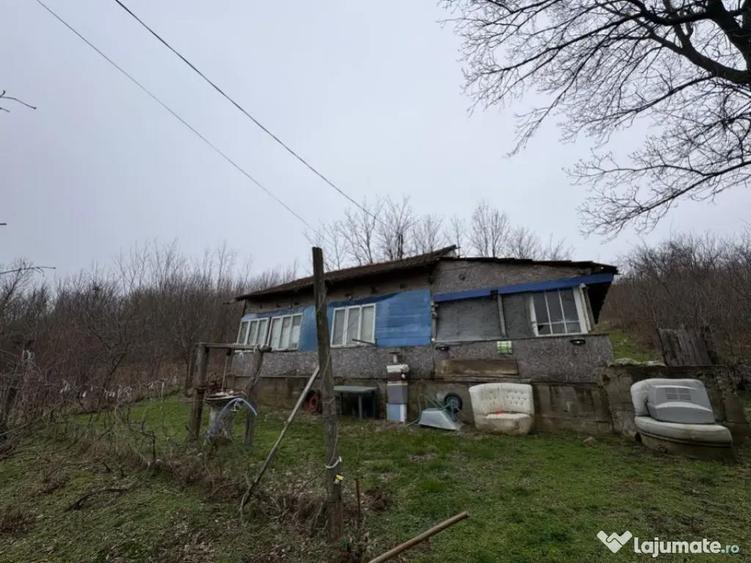 Teren 2.038 mp + Casa 50 mp de vanzare Sat Luncsoru, C - 7