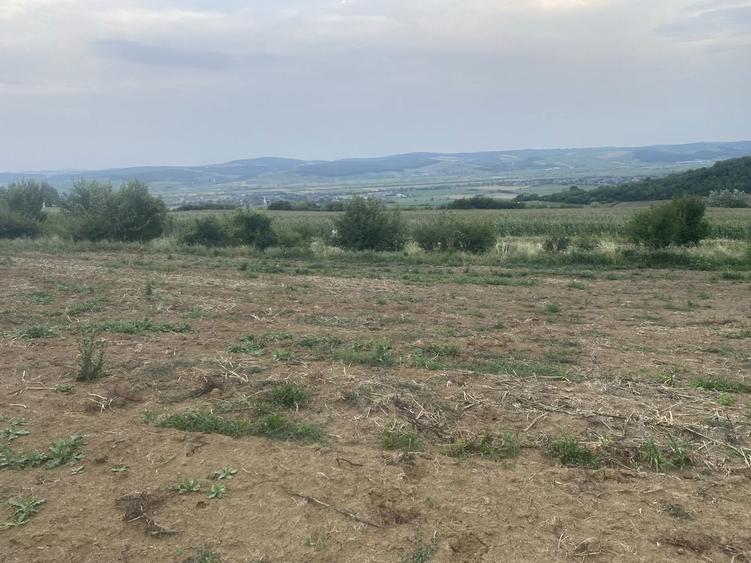 Teren watman 1500 m2 - 2