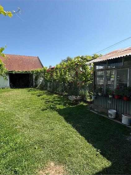 Vand Casa - 1