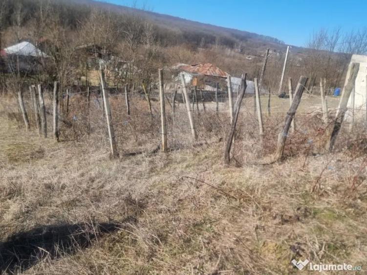 Casa renovata plus teren - 14