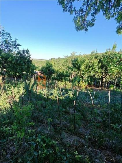 EXCLUSIVITATE! Casa+teren si cabana de lemn zona Naeni - 22